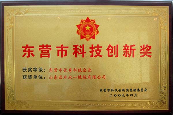 Dongying Science and Technology Innovation Award